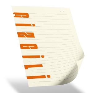 KIRMIZI TARİHSİZ DEFTER (13X21 CM)